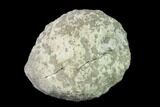 Keokuk Geode with Calcite Crystals - Missouri #135006-1